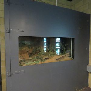 Hopping Mouse Exhibit