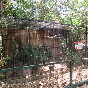Common Marmoset Exhibit