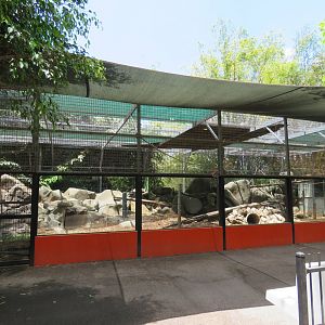 Dingo Exhibit