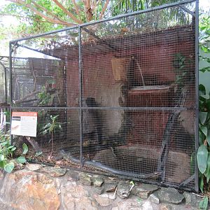 Outdoor Reptile Aviaries