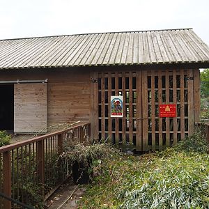Moose barn, with browse ready for feeding, 2023-10-13