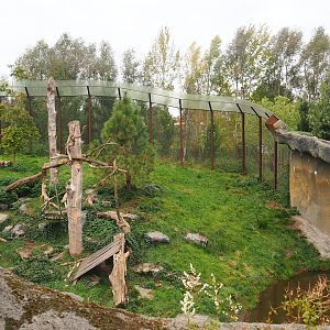 Cougar exhibit, 2023-10-13