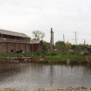 American black bear exhibit, 2023-10-13