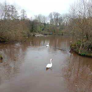 Large central lake 050224