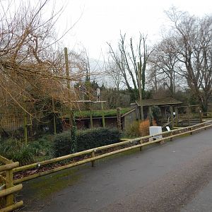 Marabou aviary 050224