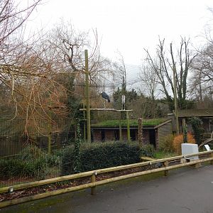 Marabou aviary 050224