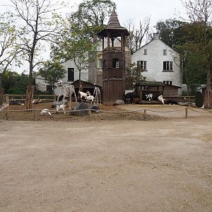 Temporary petting zoo paddock, 2023-10-13