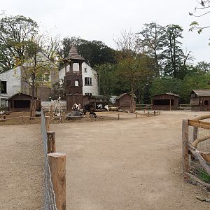 Temporary petting zoo paddock, 2023-10-13
