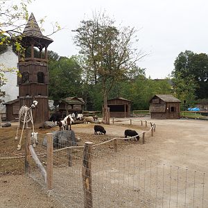Temporary petting zoo paddock, 2023-10-13