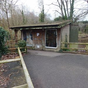 Black howler living quarters 050224