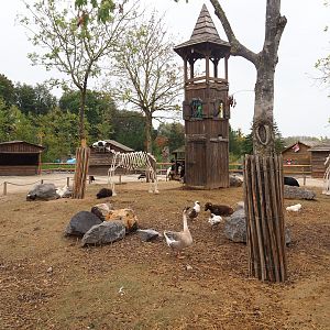 Temporary petting zoo paddock, 2023-10-13