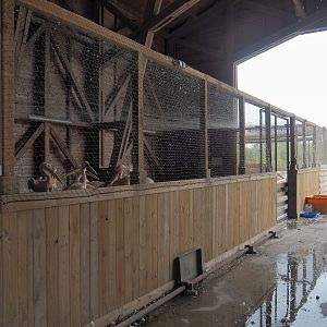 Great white pelican aviary, 2023-10-13
