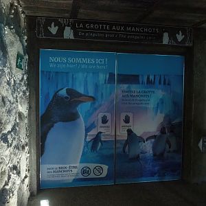 Entrance to penguin cave, 2023-10-13