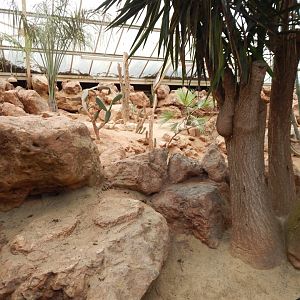 Desert House - currently empty 050224