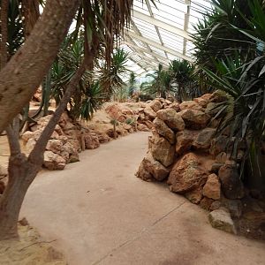 Desert House - currently empty 050224