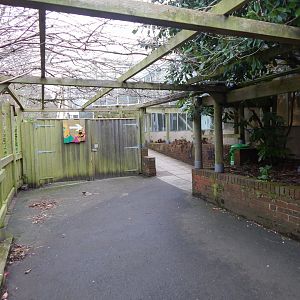 Walkway to Reptile Tropics 050224
