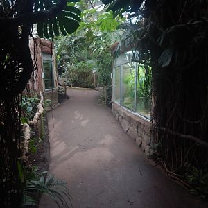 Reptile Tropics 050224