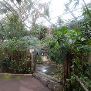 Reptile Tropics 050224
