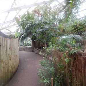 Reptile Tropics 050224