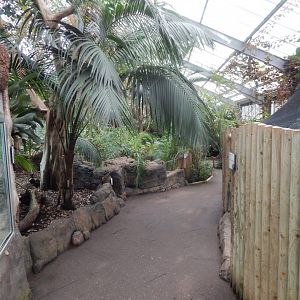 Reptile Tropics 050224