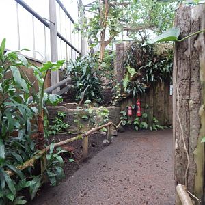 Reptile Tropics 050224