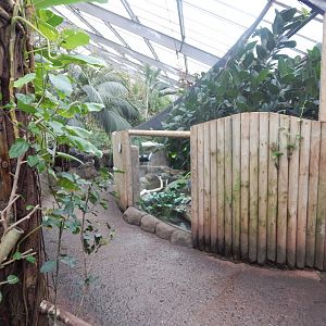 Reptile Tropics 050224