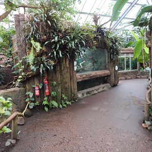 Reptile Tropics 050224