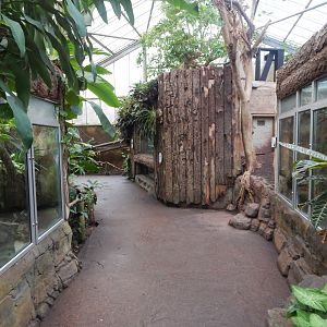 Reptile Tropics 050224