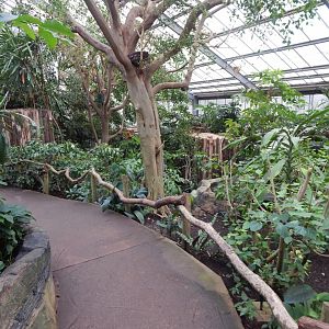 Reptile Tropics 050224