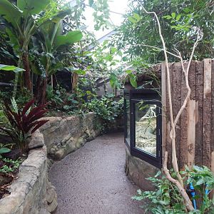 Reptile Tropics 050224