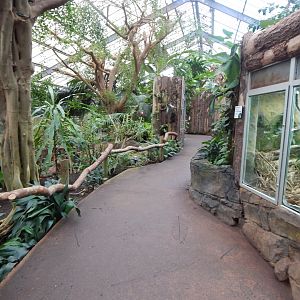 Reptile Tropics 050224