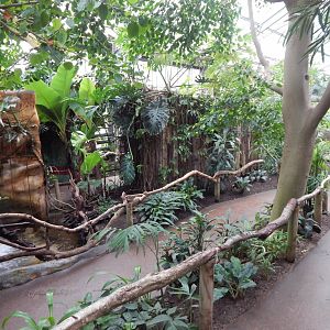 Reptile Tropics 050224