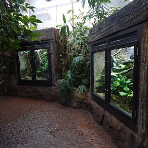 Reptile Tropics 050224