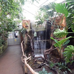 Reptile Tropics 050224