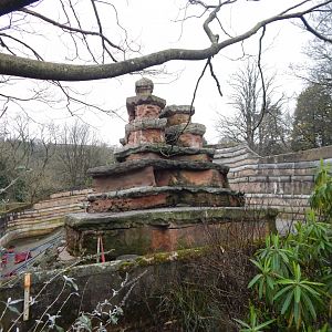 Hamadryas baboon enclosure 050224