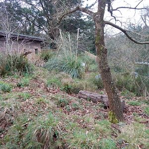 Meerkat enclosure 050224