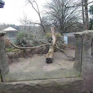 Meerkat enclosure 050224