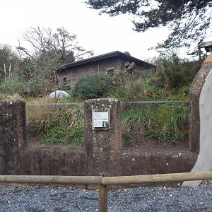 Meerkat enclosure 050224