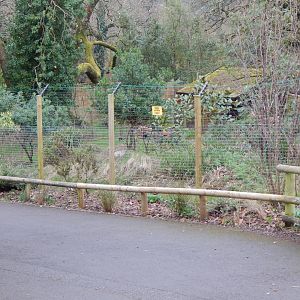 Kirk's dik-dik enclosure 050224