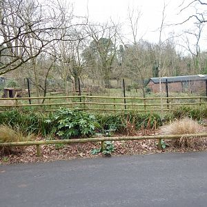Monkey Heights - Maned wolf exhibit 050224