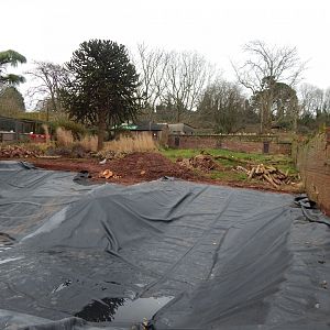 Former South American tapir enclosure 050224