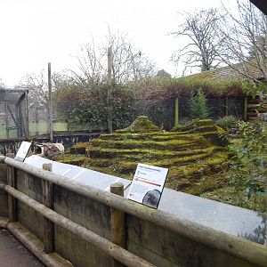 Short-beaked echidna enclosure 050224
