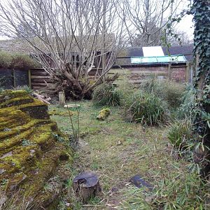 Short-beaked echidna enclosure 050224