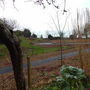 Developments on future Hamadryas baboon enclosure 050224
