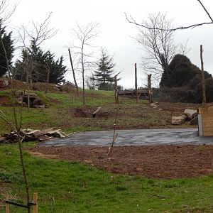 Developments on future Hamadryas baboon enclosure 050224