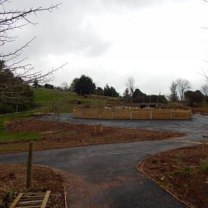 Developments on future Hamadryas baboon enclosure 050224