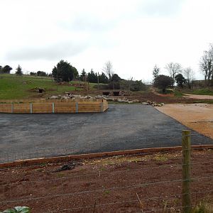 Developments on future Hamadryas baboon enclosure 050224