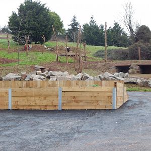 Developments on future Hamadryas baboon enclosure 050224