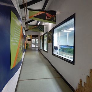 Amphibian Ark 050224