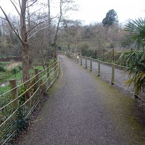 Walkway towards Lions passed central lake 050224